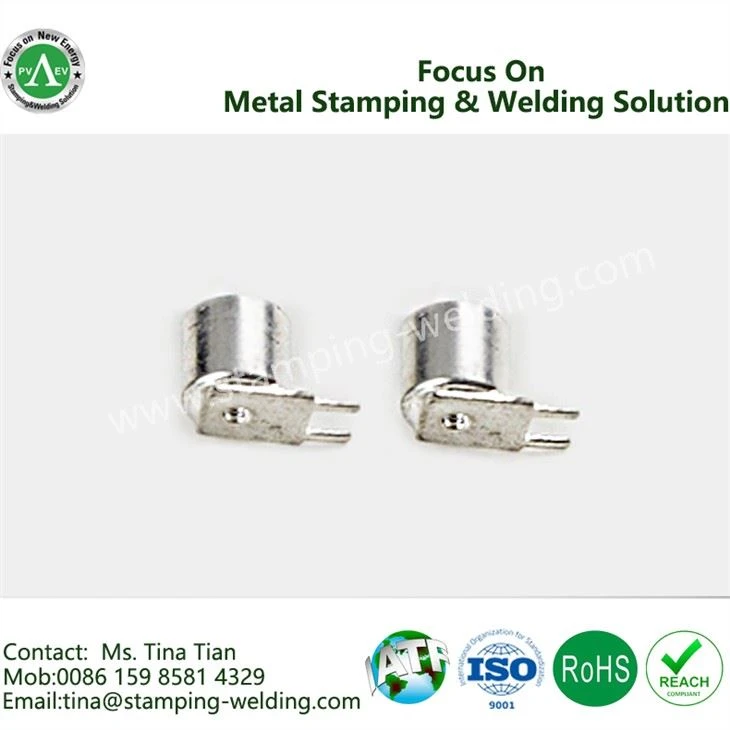 Plated End Caps For Fuse